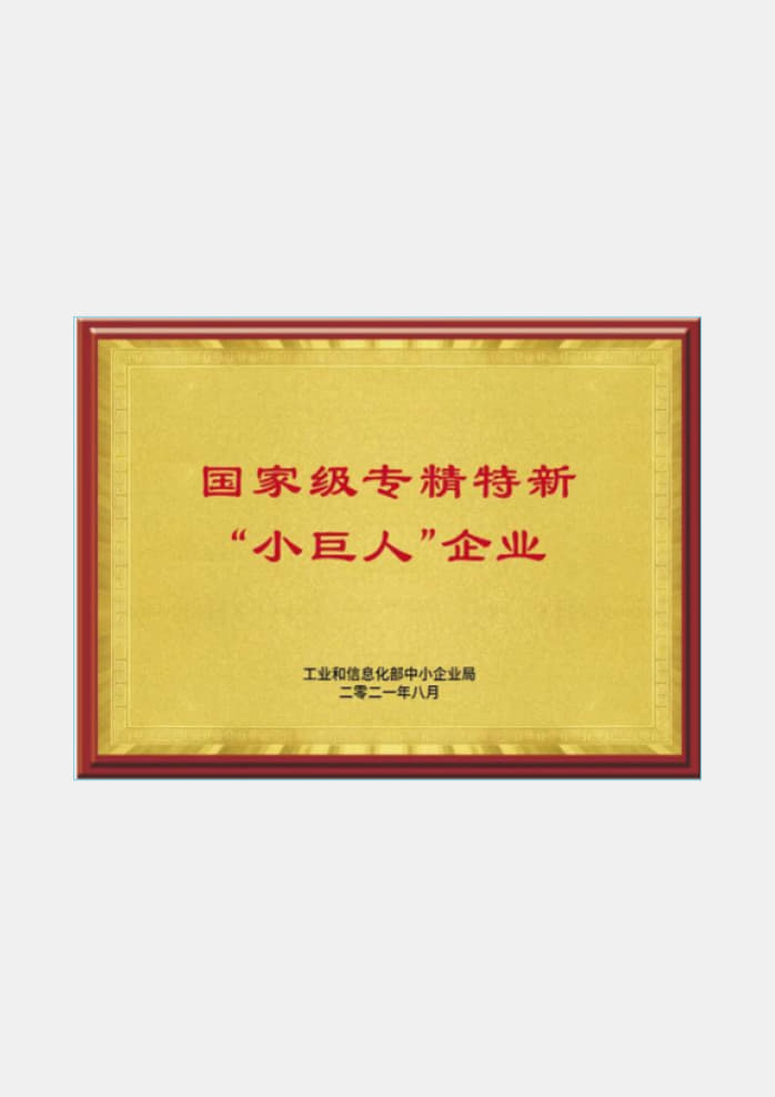 国家级专精特新小巨人企业